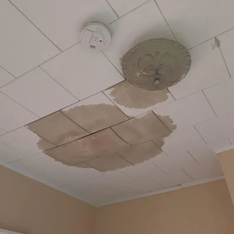 Ceiling Water Damage Repair in Roselawn, IN