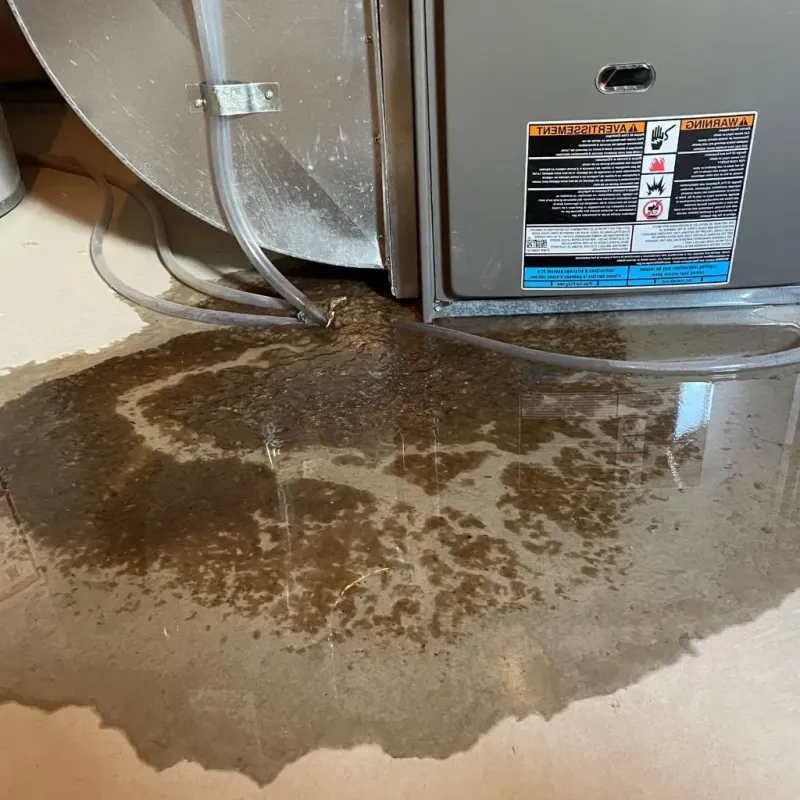 Pipe Burst and Leak Restoration in Roselawn, IN